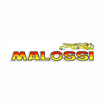 malossi ischia